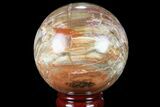 Colorful Petrified Wood Sphere - Madagascar #81544-1